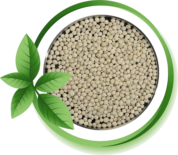 Diatomite Granules