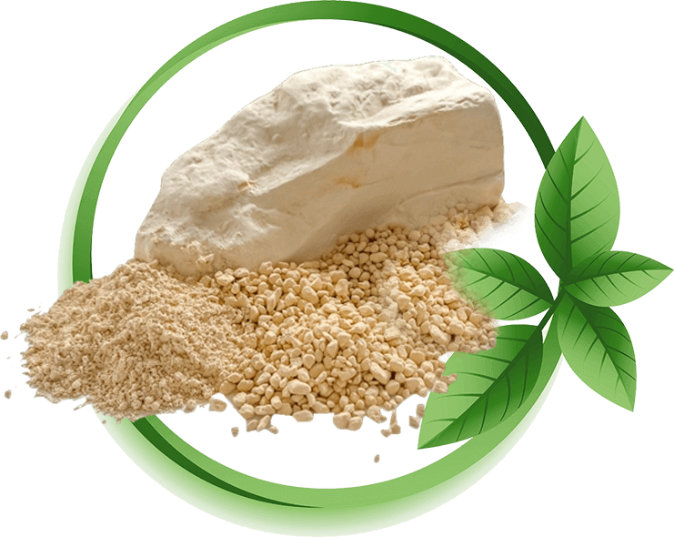 Diatomite Powder