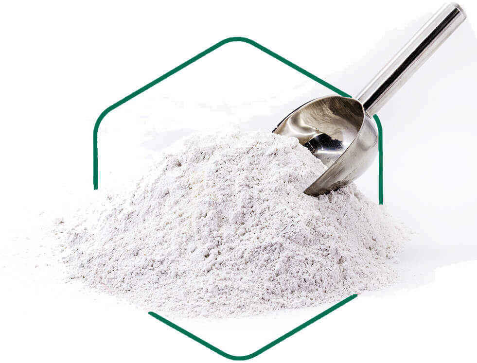 About Orga Diatomite